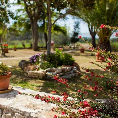 Marida Gioia Del Colle