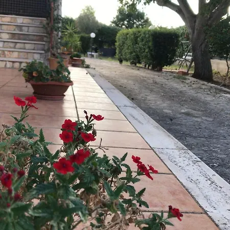 Marida Couette-café