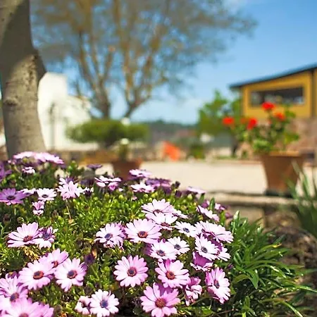 Marida Bed & Breakfast 3*