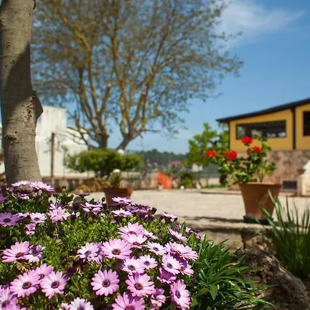 ベッド・アンド・ブレックファスト Marida